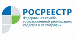 Новые услуги, оказываемые Кадастровой палатой