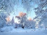 Погода