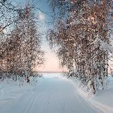 Погода
