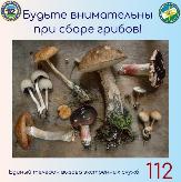 Внимание!