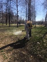 В Туймазах провели санитарно-профилактические мероприятия в центральном парке культуры и отдыха