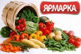 В  Туймазах пройдет ярмарка сельскохозяйственной продукции