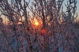 Погода