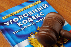 Статья 116.1 УК РФ Нанесение побоев лицом, подвергнутым административному наказанию или имеющим судимость
