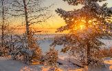 Погода