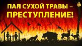 Палы травы запрещены!