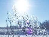 Погода