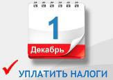 До 1 декабря 2022 года гражданам нужно заплатить налоги!