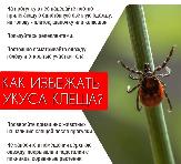 Памятка по клещевому вирусному энцефалиту