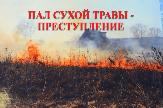 Травяной пал – это настоящее стихийное бедствие