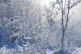 Погода
