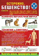 Информационное сообщение
