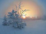 Погода