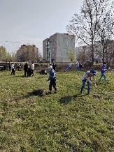 Информационное сообщение