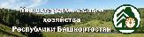 Информационное сообщение