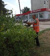 Информационное сообщение