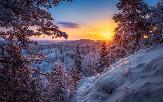 Погода