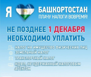 Срок уплаты налогов до 1 декабря