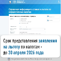 Срок представления заявления на льготу по налогам - до 30 апреля 2026 года