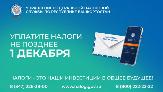 Считанные дни остаются на исполнение владельцами налогооблагаемого имущества налоговых уведомлений за 2021 год
