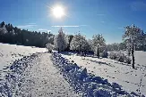 Погода