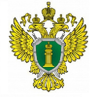Информационное сообщение