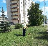 Информационное сообщение