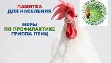 Внимание!